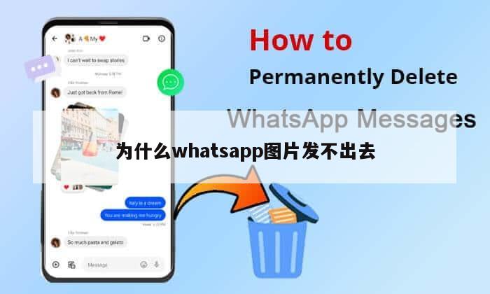 为什么whatsapp图片发不出去