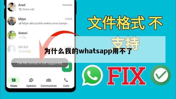 为什么我的whatsapp用不了