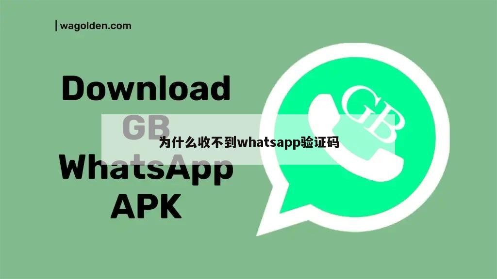 为什么收不到whatsapp验证码